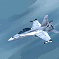 F 18 Hornet